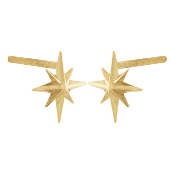 گوشواره ستاره قطبی